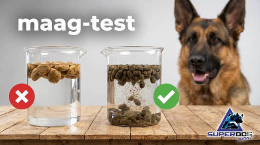 Koud Geperst vs. Krokante Brok: Waarom de maag van jouw hond het verschil merkt (De Ultieme Gids)